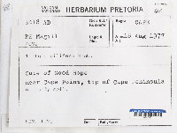 Pseudocrossidium crinitum image