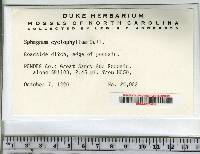 Sphagnum cyclophyllum image
