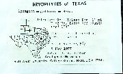 Sphagnum magellanicum image